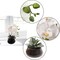 2-Pack White Phalaenopsis Orchid | Elegant Faux Orchids in 7" Black Pots – Lifelike Decor for Home & Office